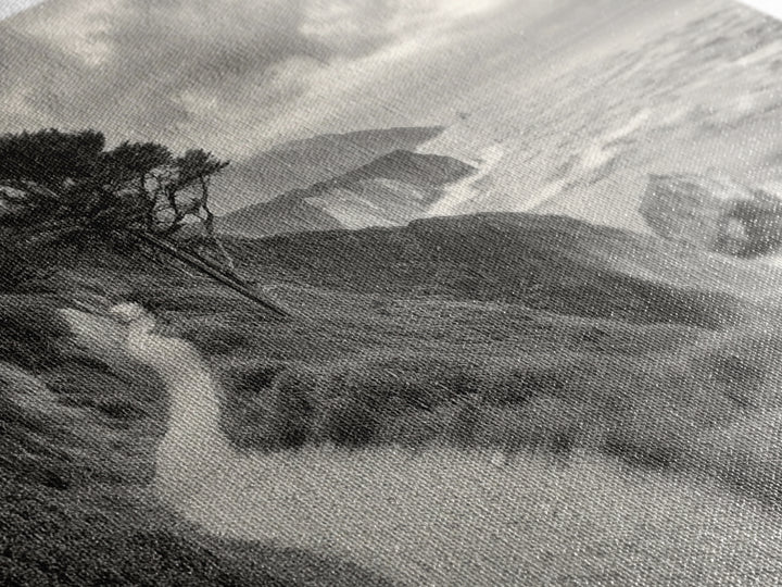 Coastal Path, Nature Trail, Ocean Cliff, Cypress Tree, Framed Canvas Print, Minimalist Wall Art, Living Room Decor, Scenic Landscape