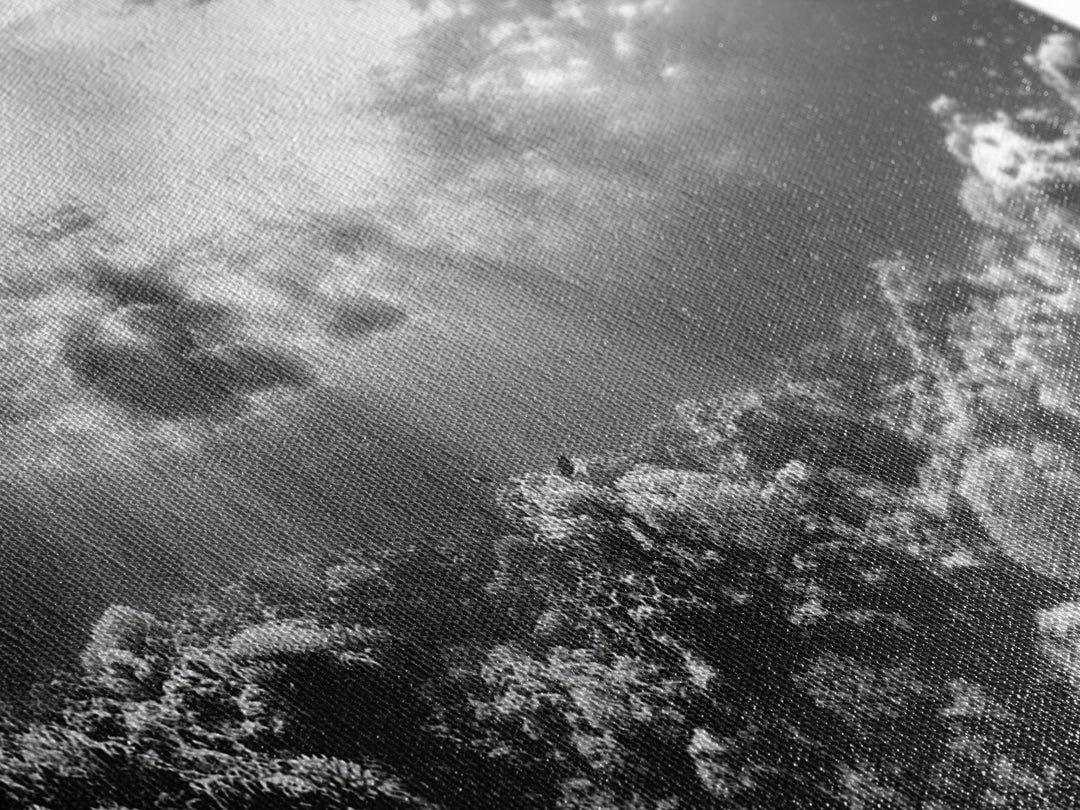 Coral Reef, Ocean Depths, Sunlight Rays, Marine Life, Canvas Print, Minimalist Nature Art, Bathroom Decor, Underwater Scene, Bedroom Wall Art