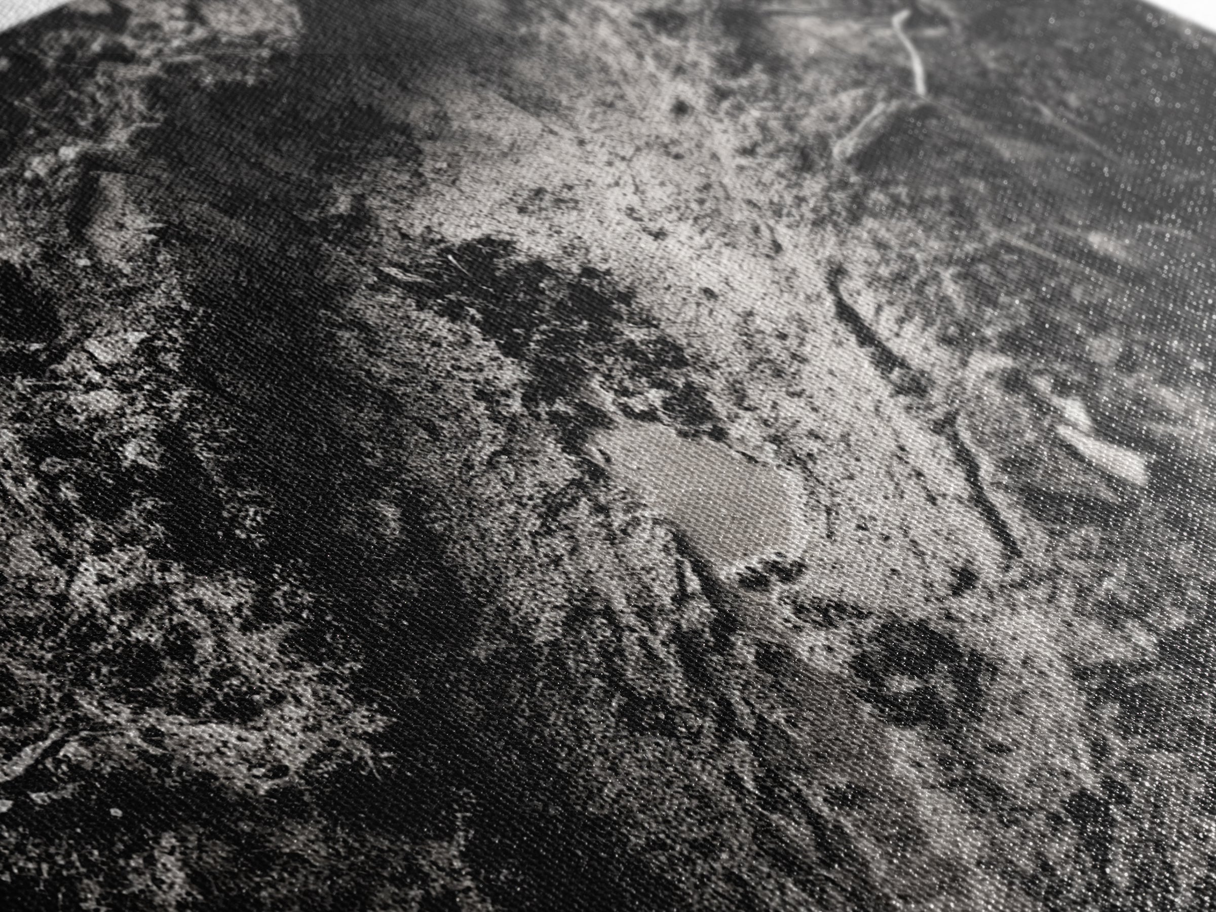 Animal Track Print, Nature Scene, Forest Ground, Autumn Photography, Framed Canvas Print, Rustic Cabin Wall Art, Earth Tone Decor