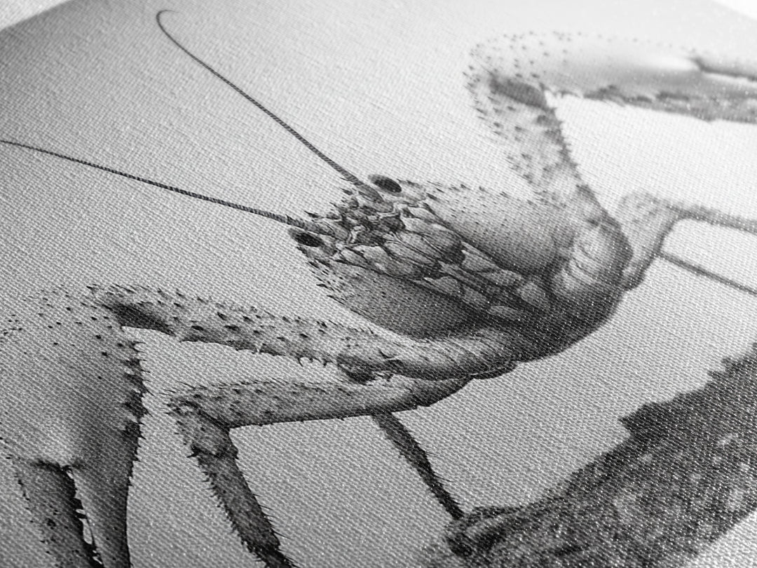 Crab Art, Beach Creature, Monochrome Photography, Nature Close-Up, Framed Canvas Print, Coastal Bathroom Art, Marine Home Style