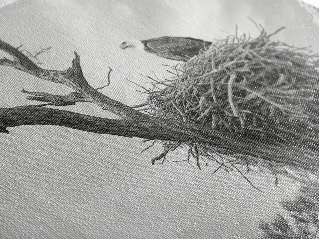 Bald Eagle Nest, Wildlife Nature Art, Rustic Cabin Decor, Framed Canvas Print, Patriotic Office Wall Art, Woodland Photography