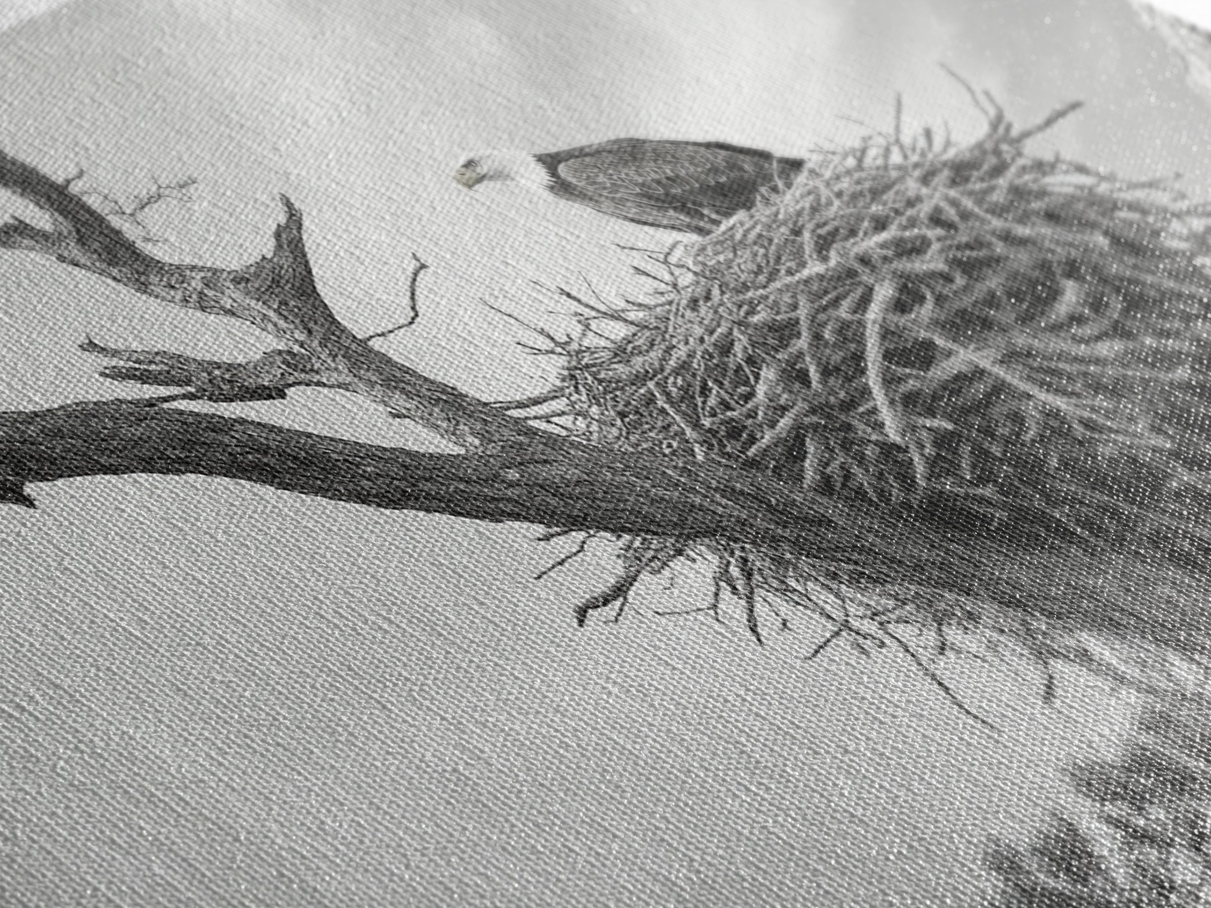 Bald Eagle Nest, Wildlife Nature Art, Rustic Cabin Decor, Framed Canvas Print, Patriotic Office Wall Art, Woodland Photography