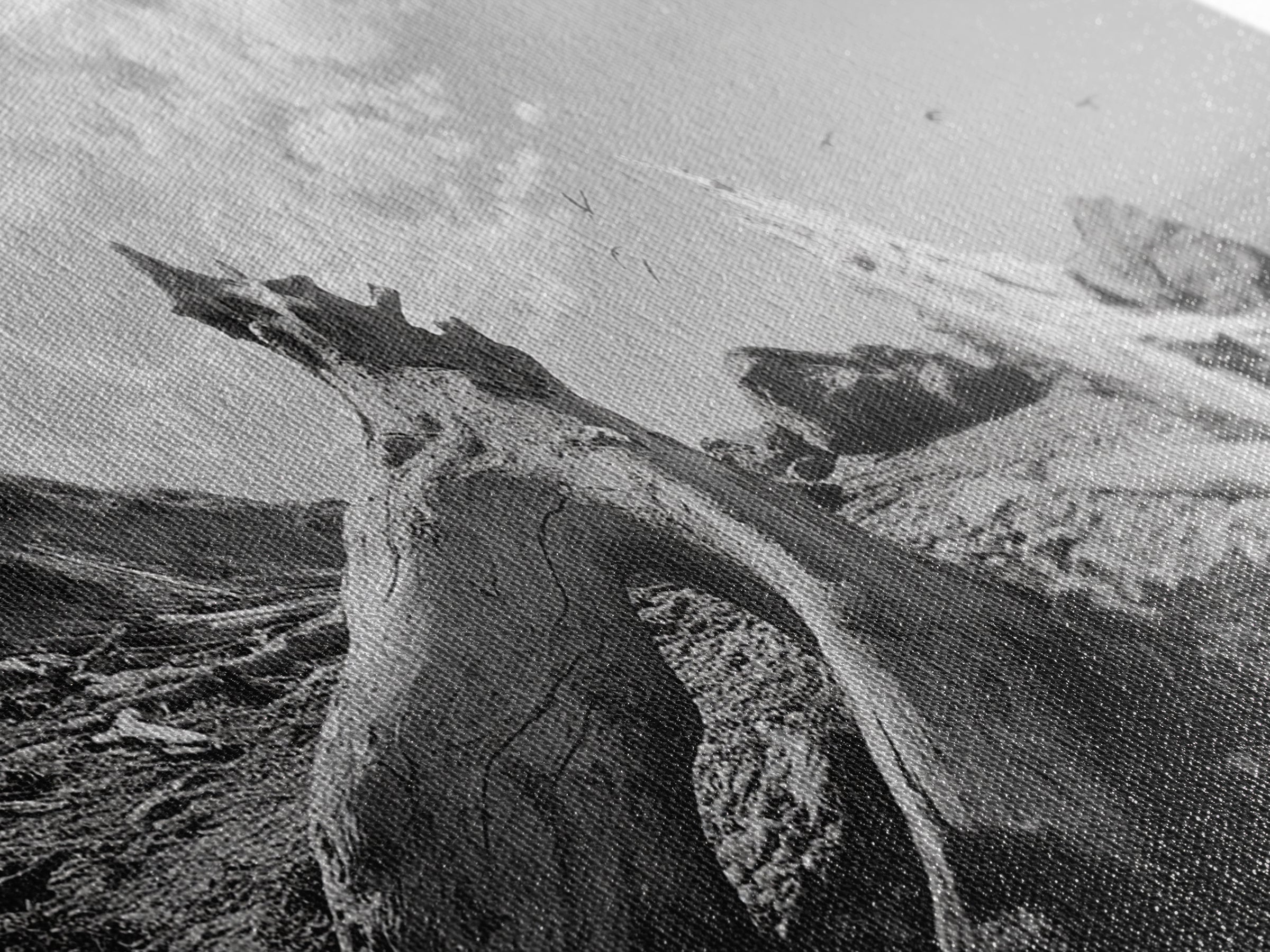 Coastal Driftwood, Beach Landscape, Pebble Shore Scene, Natural Decor Accent, Canvas Print, Relaxed Vibe, Entryway or Den Wall Art