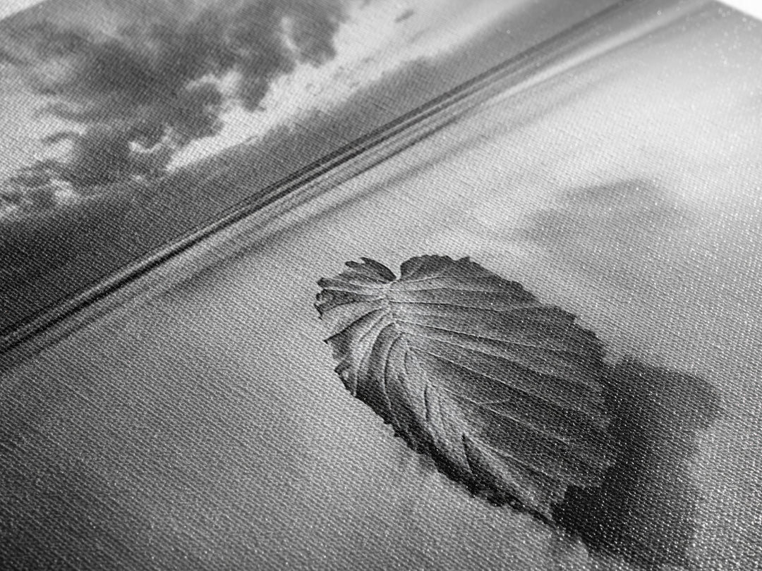 Beach Leaf Still, Autumn Nature Scene, Calm Ocean Shoreline, Canvas Print, Fall Bathroom Wall Art, Neutral Earth Tone Decor