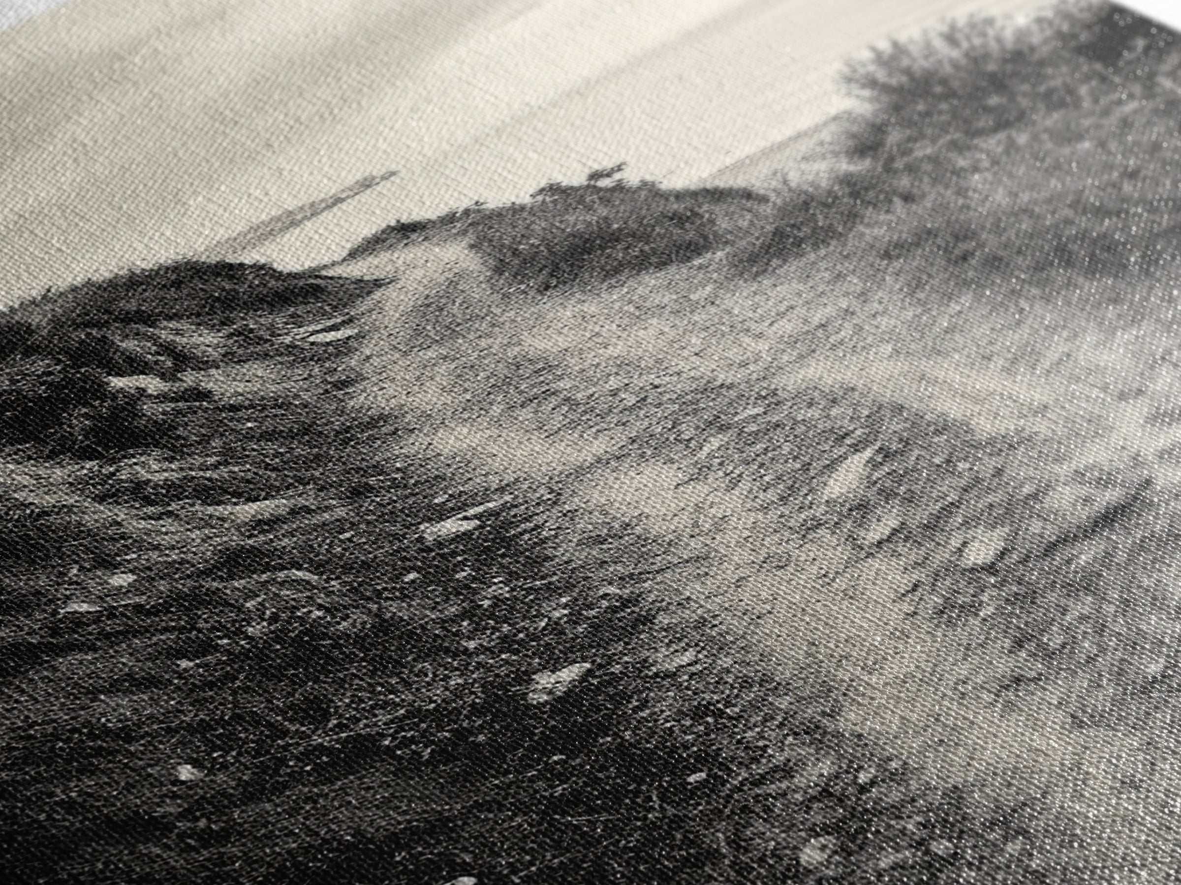 Coastal Cliff Path, Tranquil Trail, Black and White Landscape, Nature Lover Gift, Framed Canvas Print, Entryway Wall Art, Rustic Boho Art