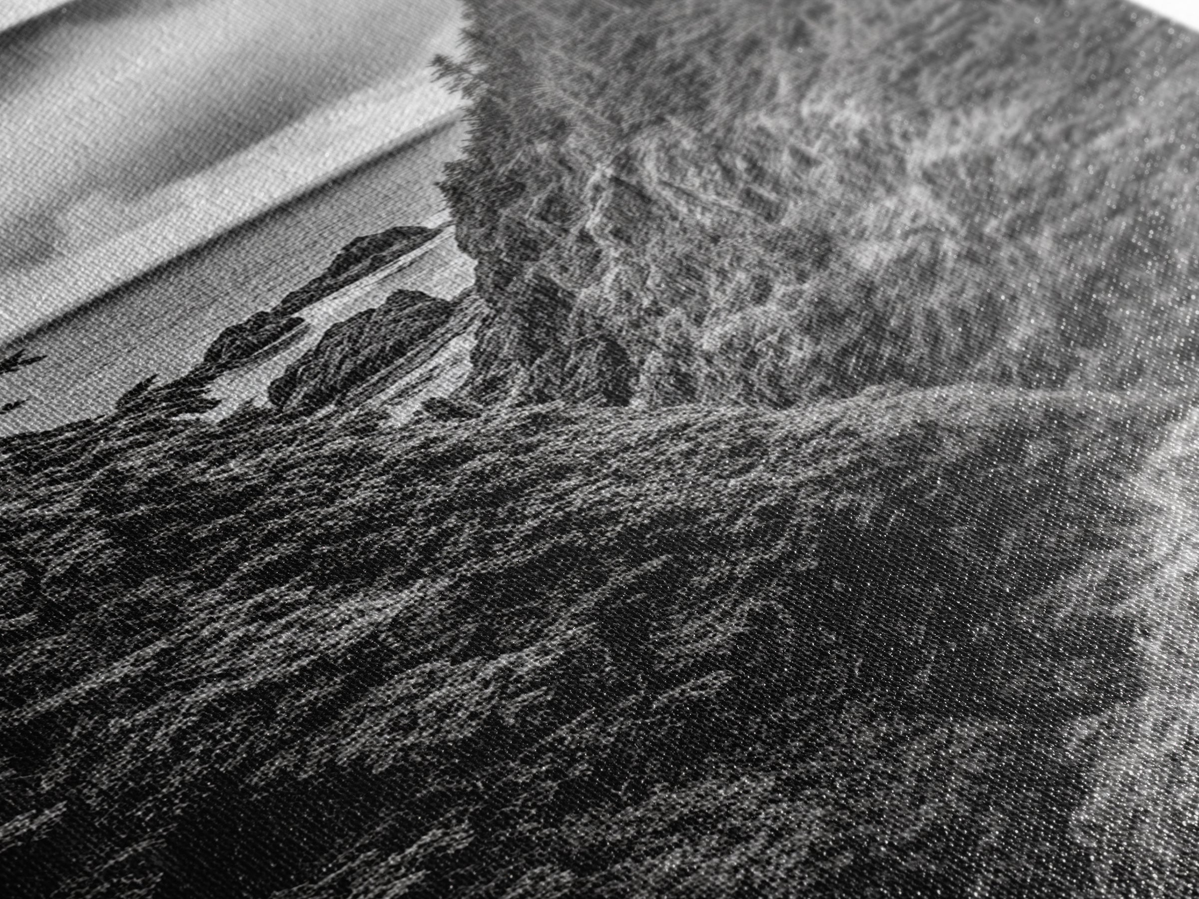 Rugged Ocean View, Coastal Forest, Black and White Mountains, Pacific Northwest Vibes, Framed Canvas Print, Den Wall Art, Moody Cabin Decor