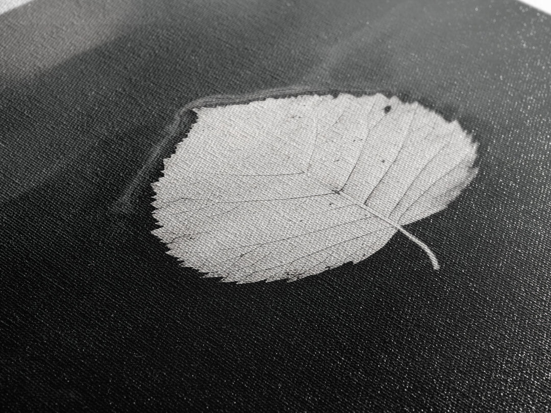 Floating Leaf, Still Water, Nature Simplicity, Autumn Calm, Canvas Print, Minimalist Wall Art, Bathroom Decor, Scandinavian Fall Style