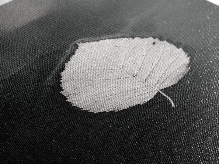 Floating Leaf, Still Water, Nature Simplicity, Autumn Calm, Canvas Print, Minimalist Wall Art, Bathroom Decor, Scandinavian Fall Style
