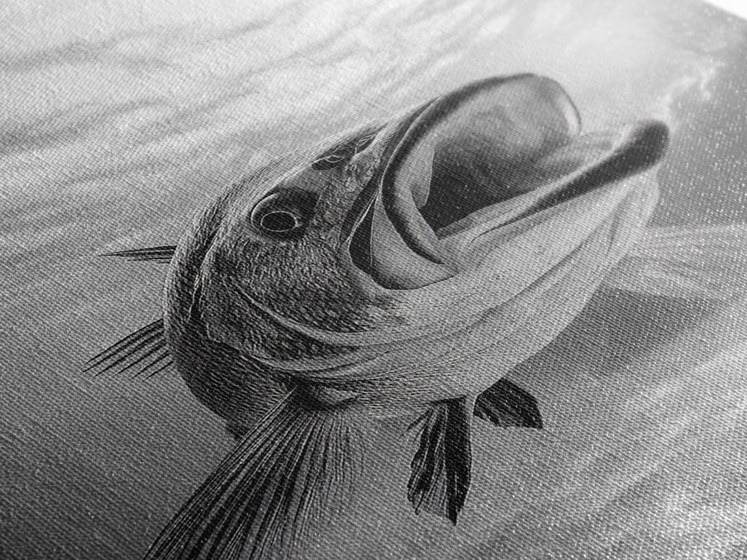 Underwater Fish, Ocean Predator, Aquatic Wildlife, Canvas Print, Bathroom Wall Art, Coastal Nautical Decor, Marine Photography