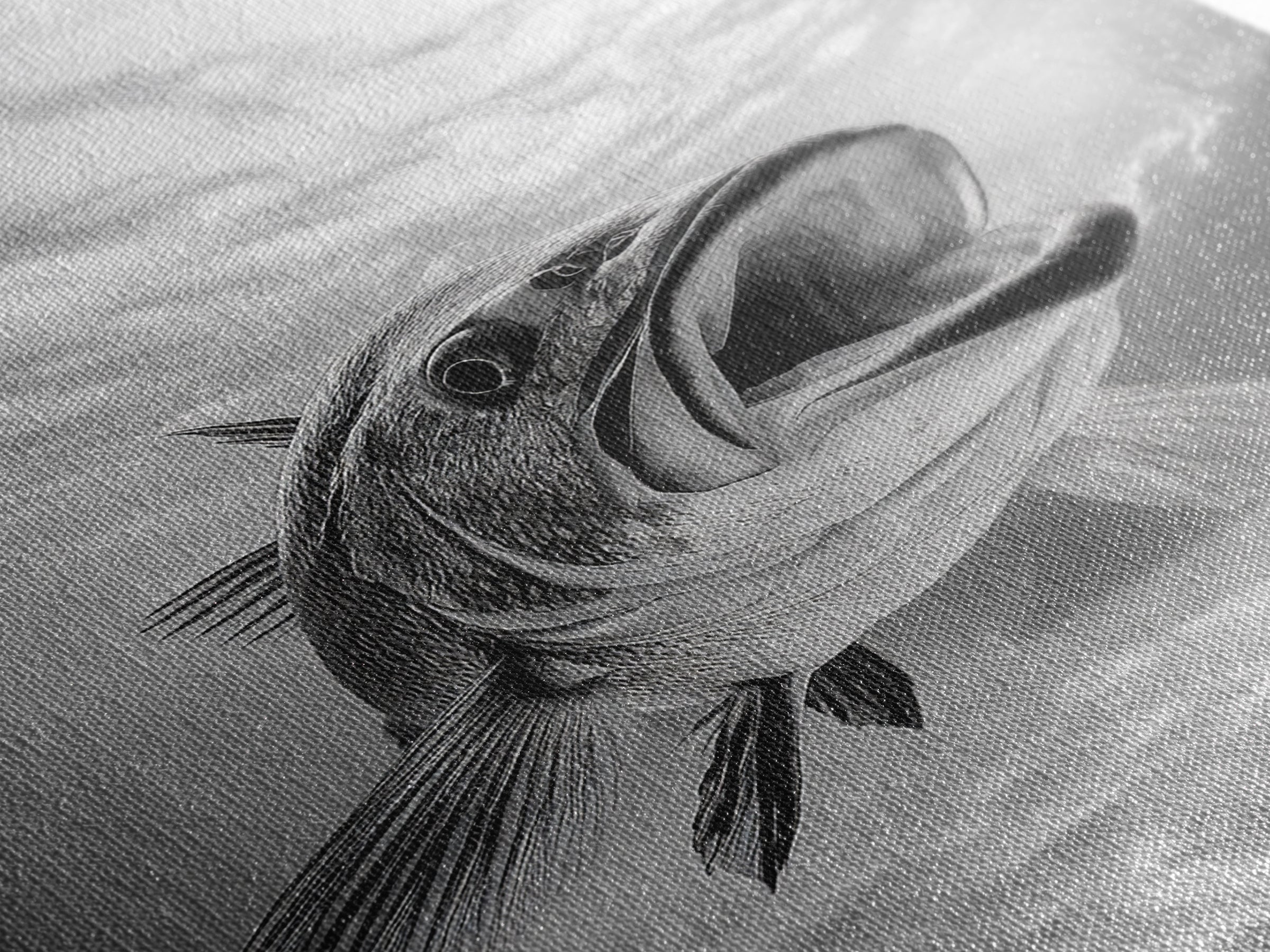 Underwater Fish, Ocean Predator, Aquatic Wildlife, Canvas Print, Bathroom Wall Art, Coastal Nautical Decor, Marine Photography