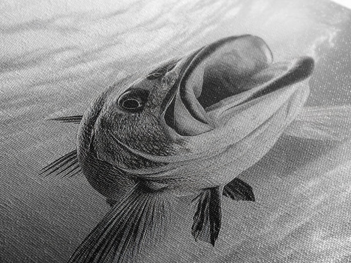 Underwater Fish, Ocean Predator, Aquatic Wildlife, Canvas Print, Bathroom Wall Art, Coastal Nautical Decor, Marine Photography