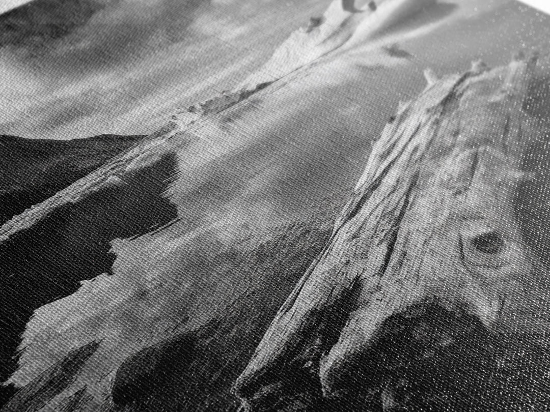 Arctic Driftwood View, Iceberg Horizon, Moody Mountains, Framed Canvas Print, Office Wall Art, Monochrome Nature, Nordic Aesthetic