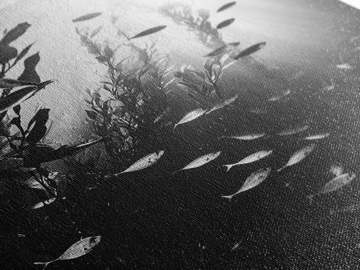 Kelp Forest Depth, Underwater Fish Scene, Ocean Life, Canvas Print, Marine Wall Art, Coastal Decor, Moody Nature Photography, Bathroom Art