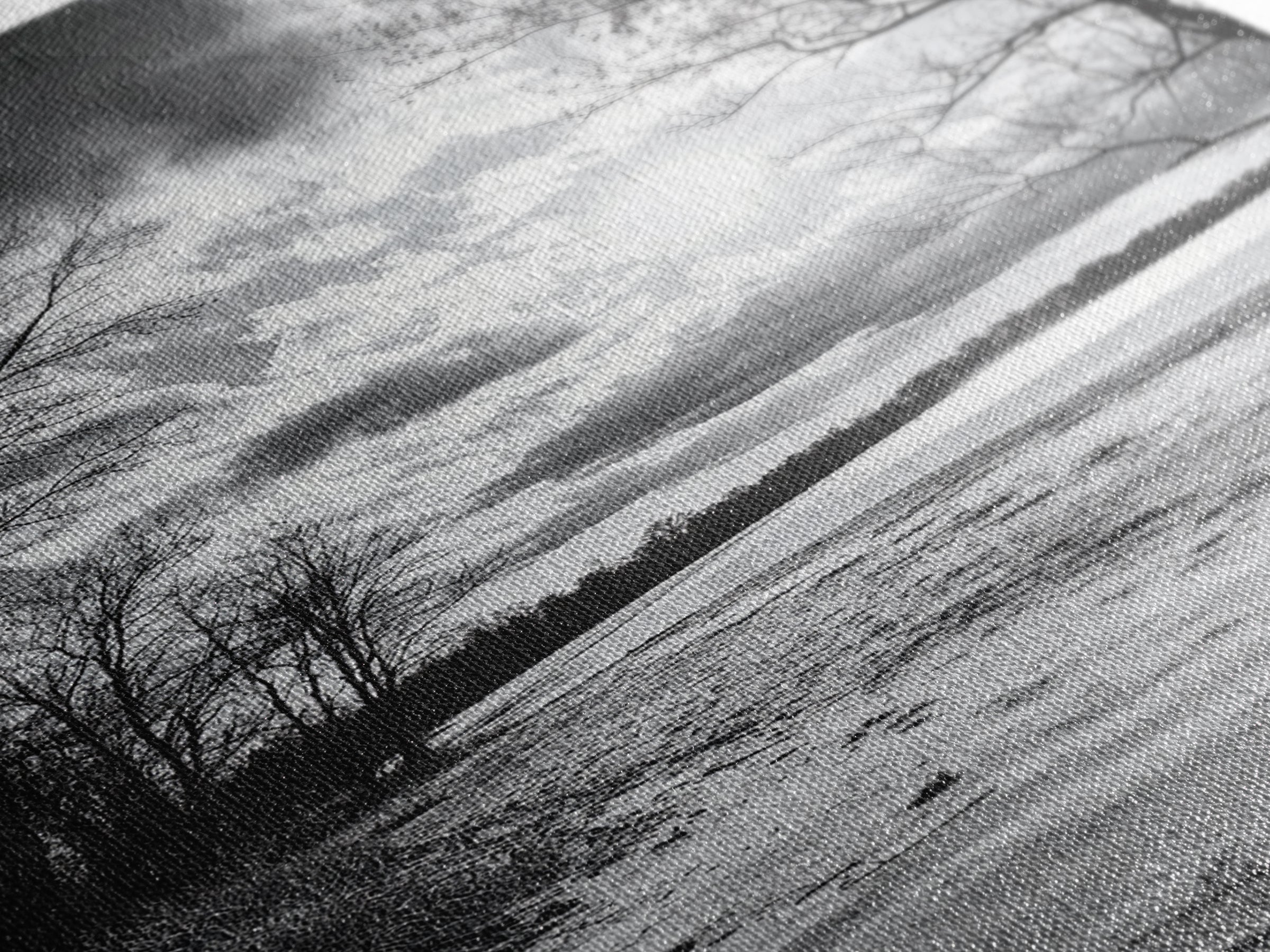 Dramatic Beach Sunset, Bare Trees Silhouette, Nature Photography, Framed Canvas Print, Fall Wall Art, Entryway Decor, Rustic Minimalist