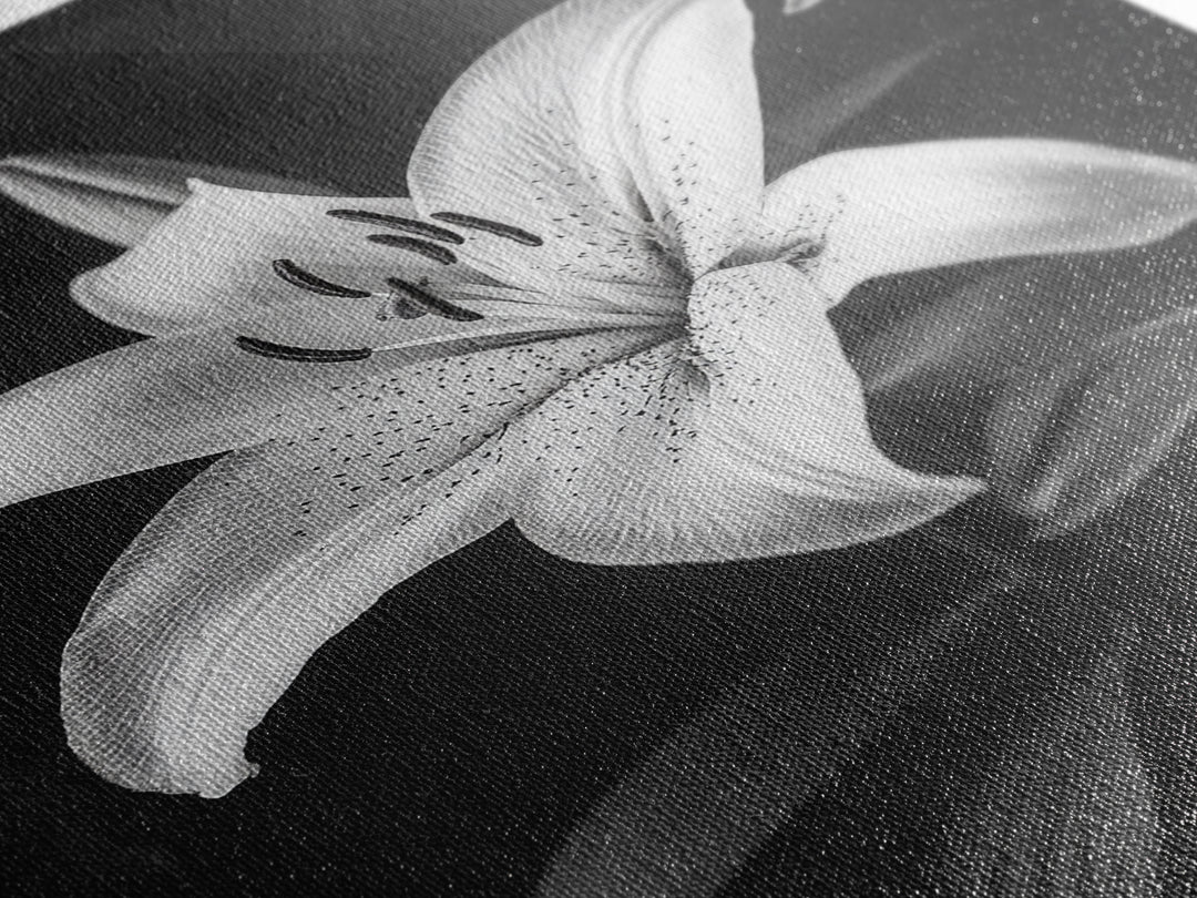 Elegant Lily, Black and White, Floral Beauty, Canvas Print, Botanical Wall Art, Minimalist Art, Bedroom Wall Decor, Nature Photography