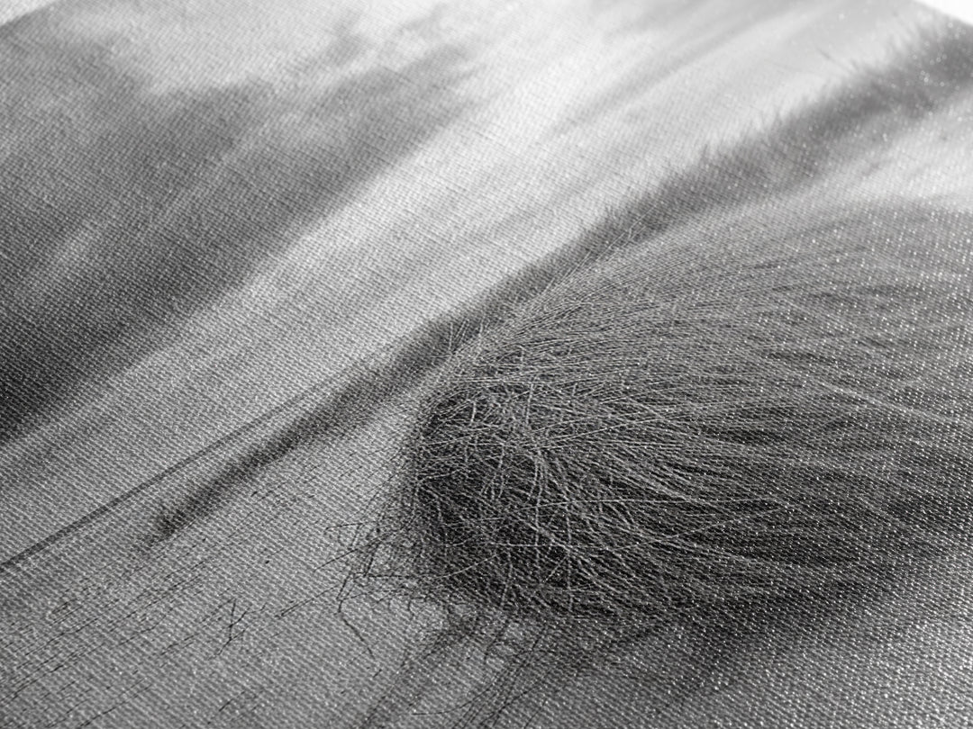 Tumbleweed Dune, Windy Coast, Desert Beach, Canvas Print, Boho Wall Art, Autumn Nature Decor, Minimalist Western Photography