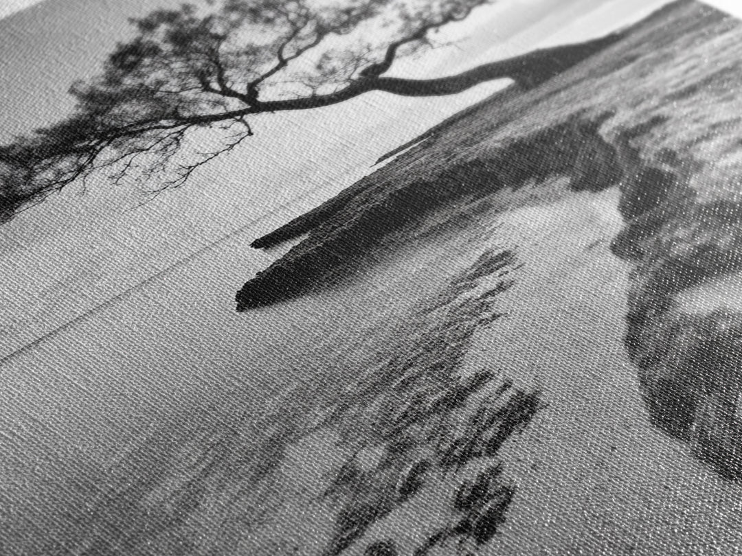 Coastal Tree Silhouette, Serene Nature Art, Ocean Wall Scene, Framed Canvas Print, Beach House Decor, Minimalist Design