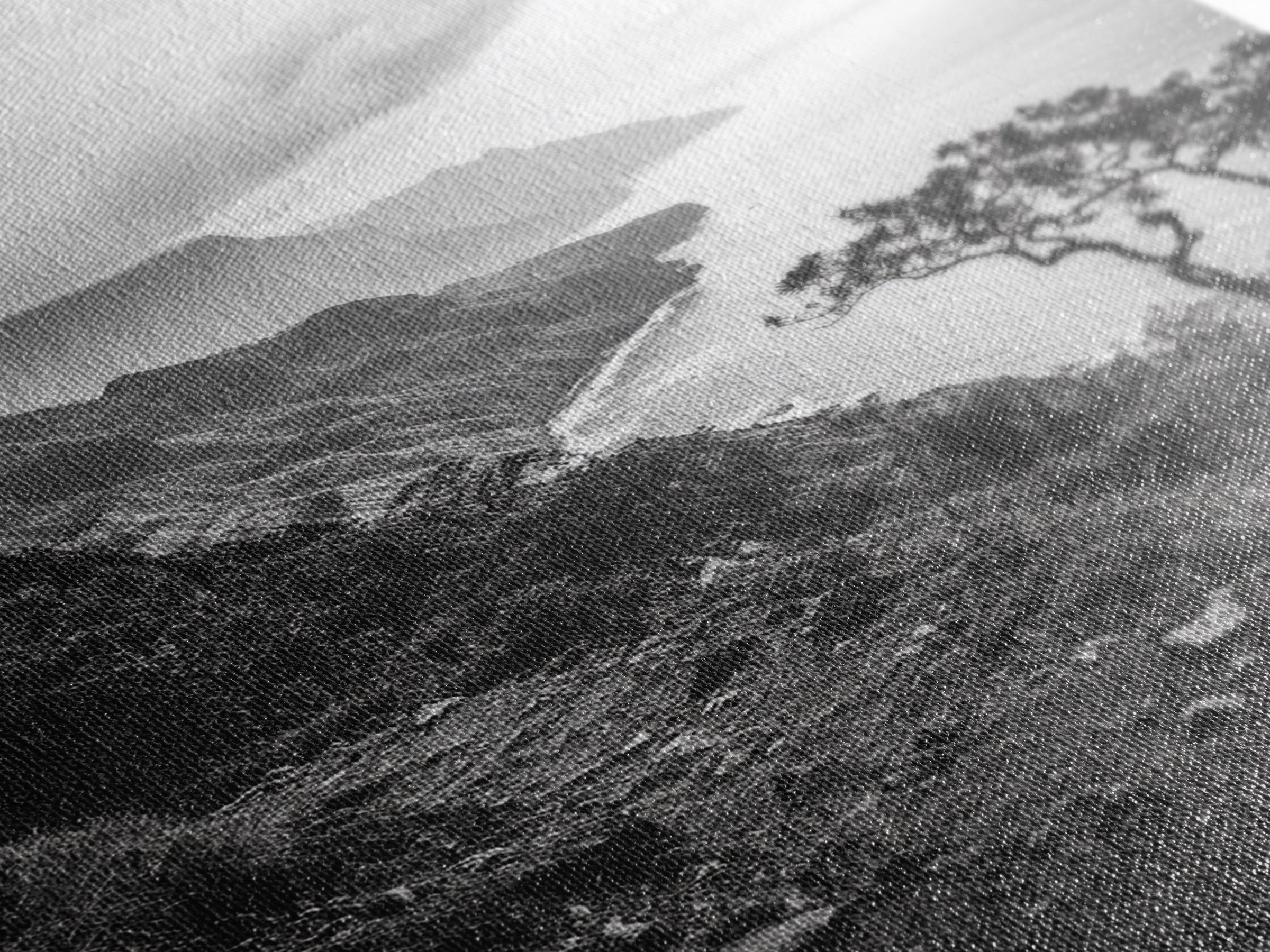 Coastal Cliff, Ocean Horizon, Hiking Trail, Framed Canvas Print, Nature Photography, Boho Wall Art, Living Room Decor, Minimalist Earth Tones