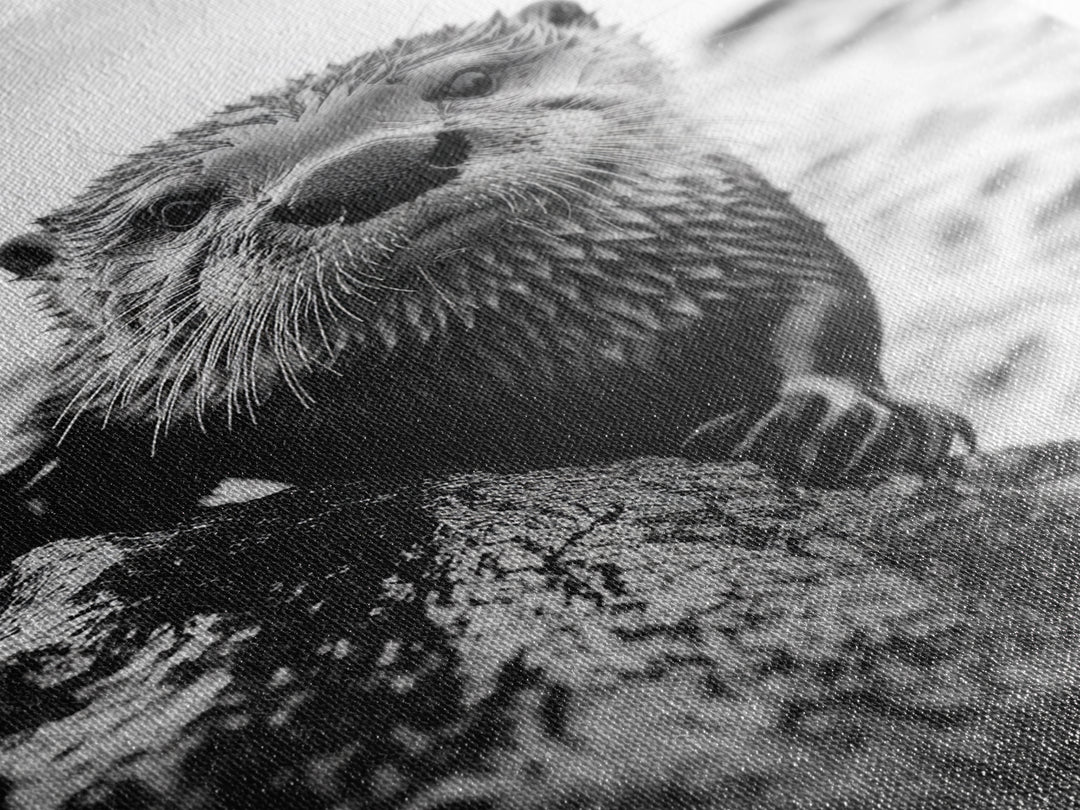 Curious Otter, Coastal Wildlife, Black and White, Animal Photography, Framed Canvas Print, Bathroom Wall Art, Nature Lover Gift
