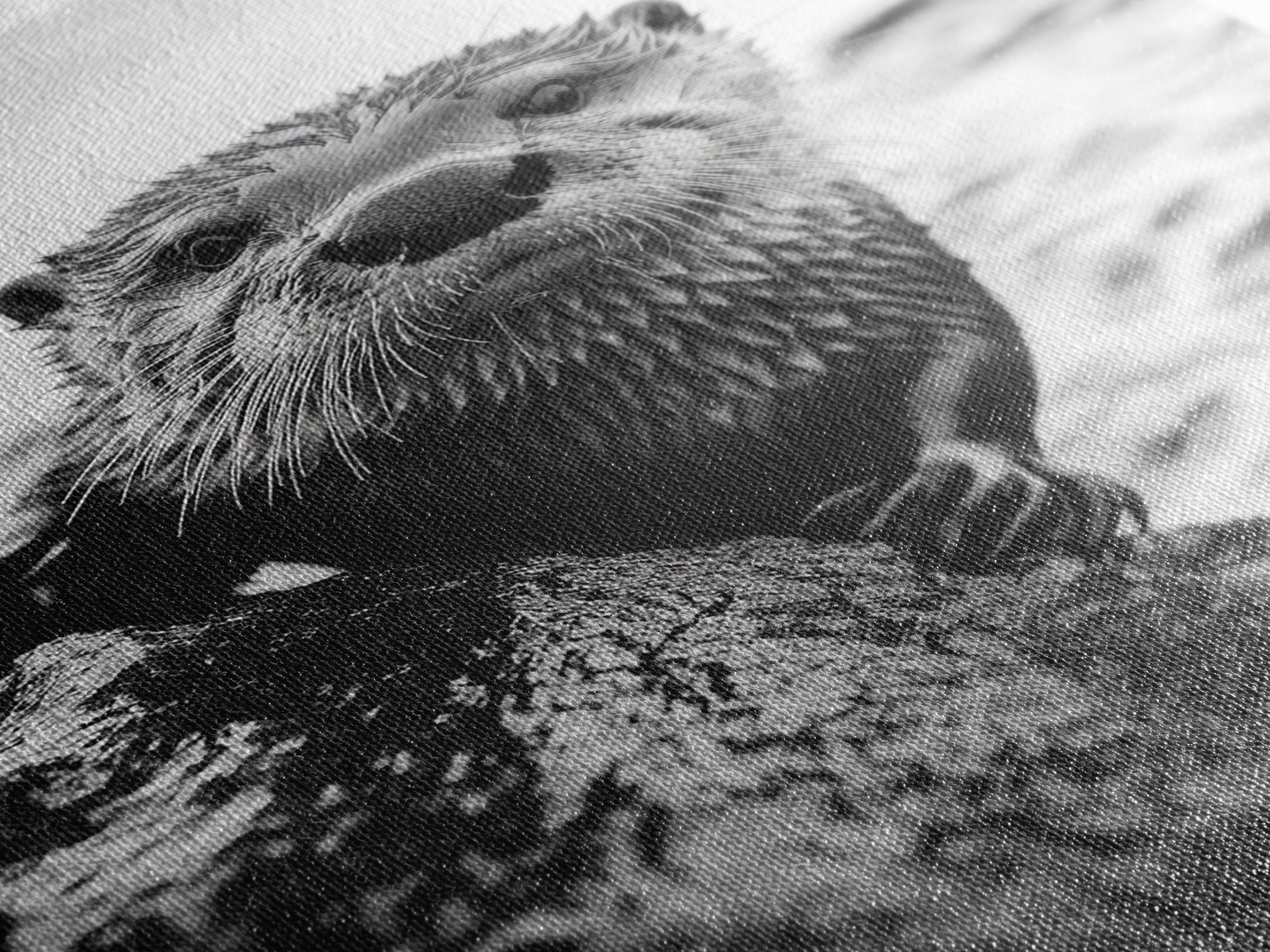 Curious Otter, Coastal Wildlife, Black and White, Animal Photography, Framed Canvas Print, Bathroom Wall Art, Nature Lover Gift
