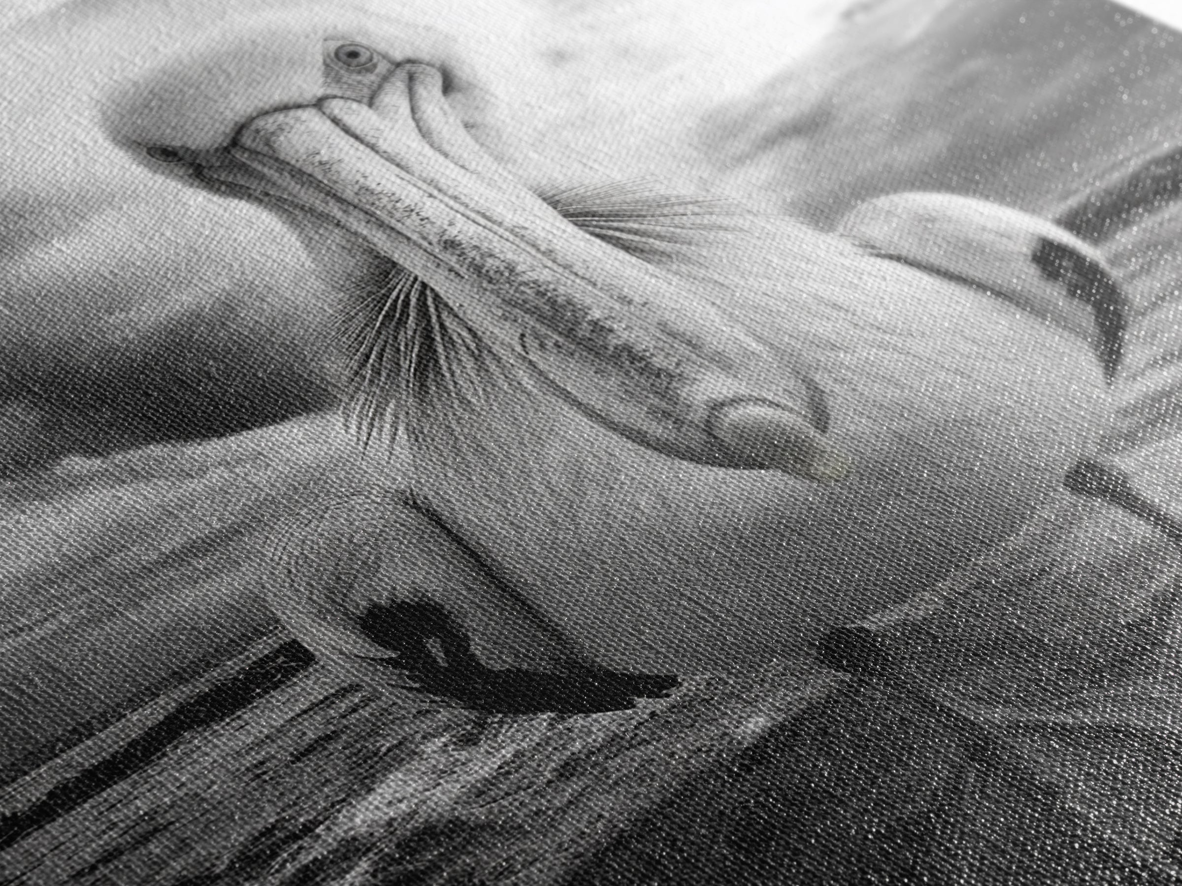 Bold Pelican, Coastal Storm, Bird Portrait, Canvas Print, wildlife wall art, beach house decor, dramatic black and white animal art