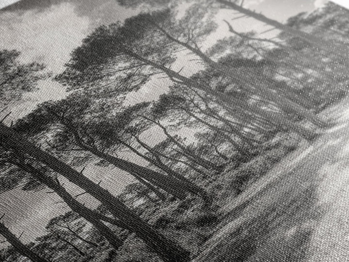 Forest Shadows, Tall Pines, Natural Light, Framed Canvas Print, woodland landscape, rustic cabin decor, autumn forest art