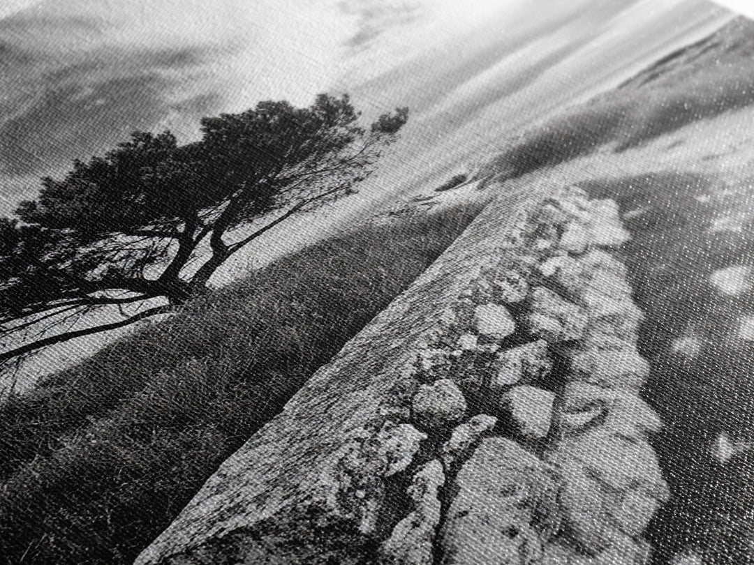 Coastal Path, Nature Trail, Windswept Tree, Framed Canvas Print, Rustic Landscape Art, Minimalist Decor, Bedroom Wall Art, Fall Vibes