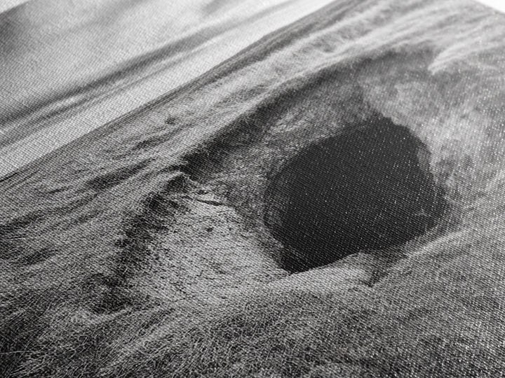 Burrow Entrance, Hidden Hole, Grassland Tunnel, Canvas Print, Nature Wall Art, Living Room Decor, Black White Landscape Photography