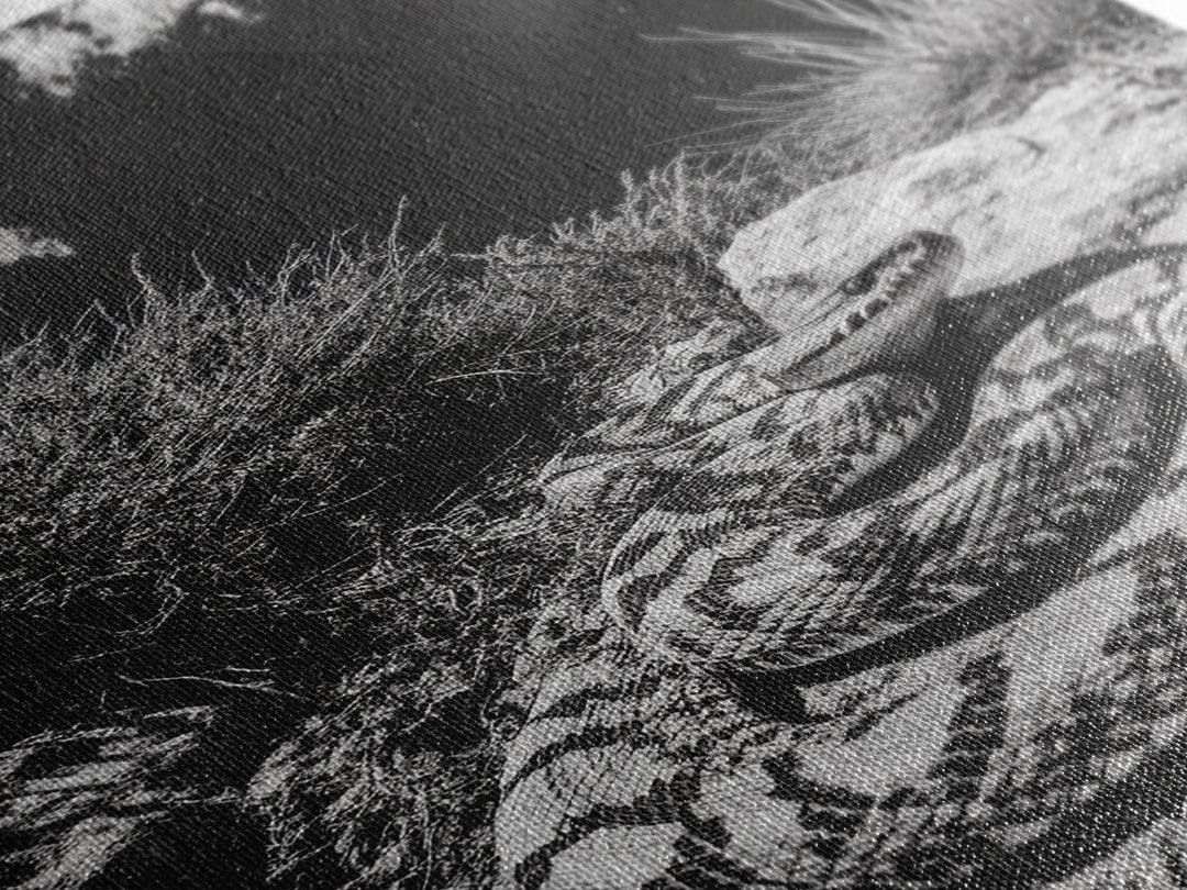 Coiled Snake, Desert Predator, Wild Reptile, Framed Canvas Print, Nature Wildlife Art, Den or Office Decor, Monochrome Animal Photography