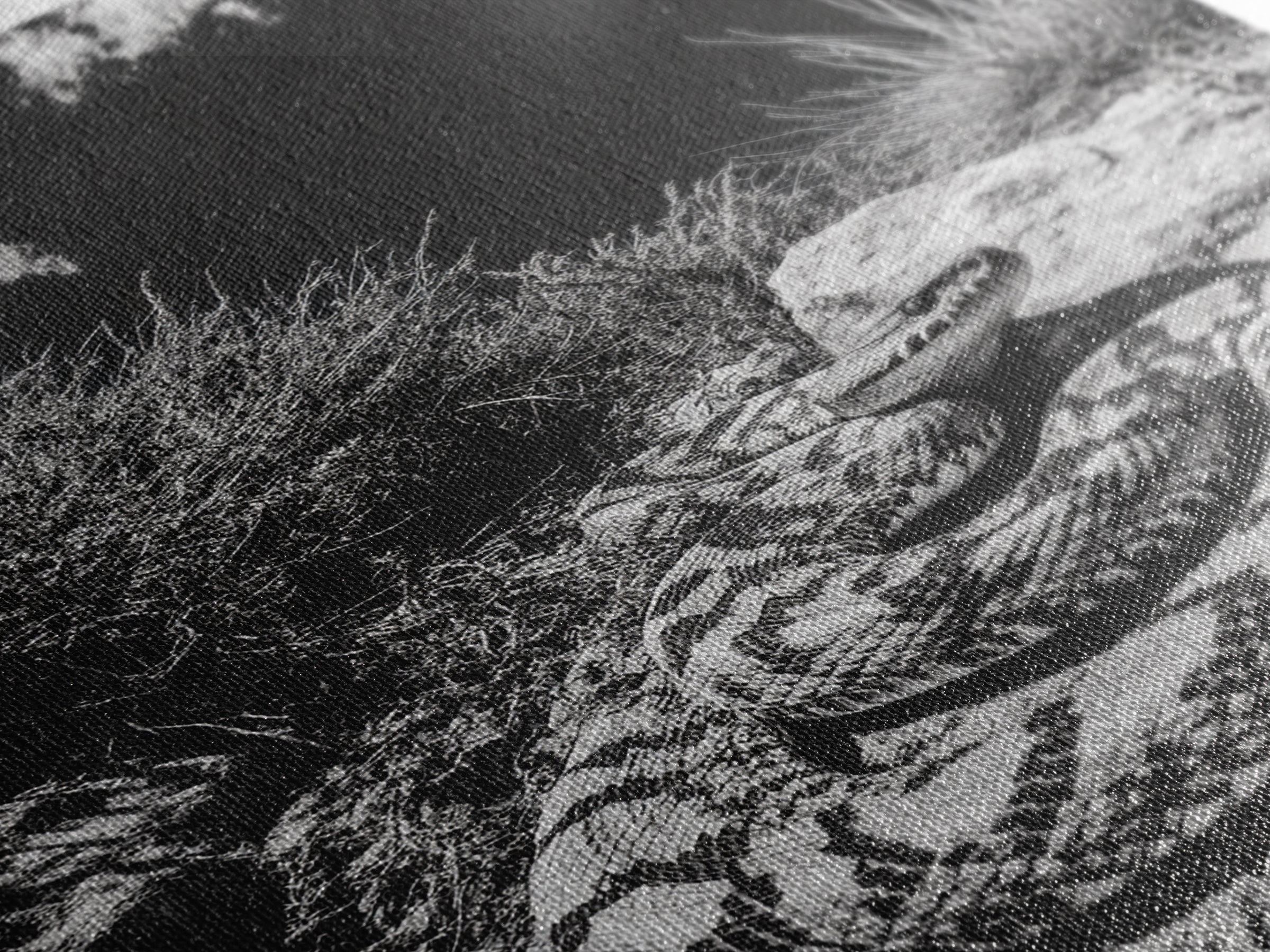 Coiled Snake, Desert Predator, Wild Reptile, Framed Canvas Print, Nature Wildlife Art, Den or Office Decor, Monochrome Animal Photography