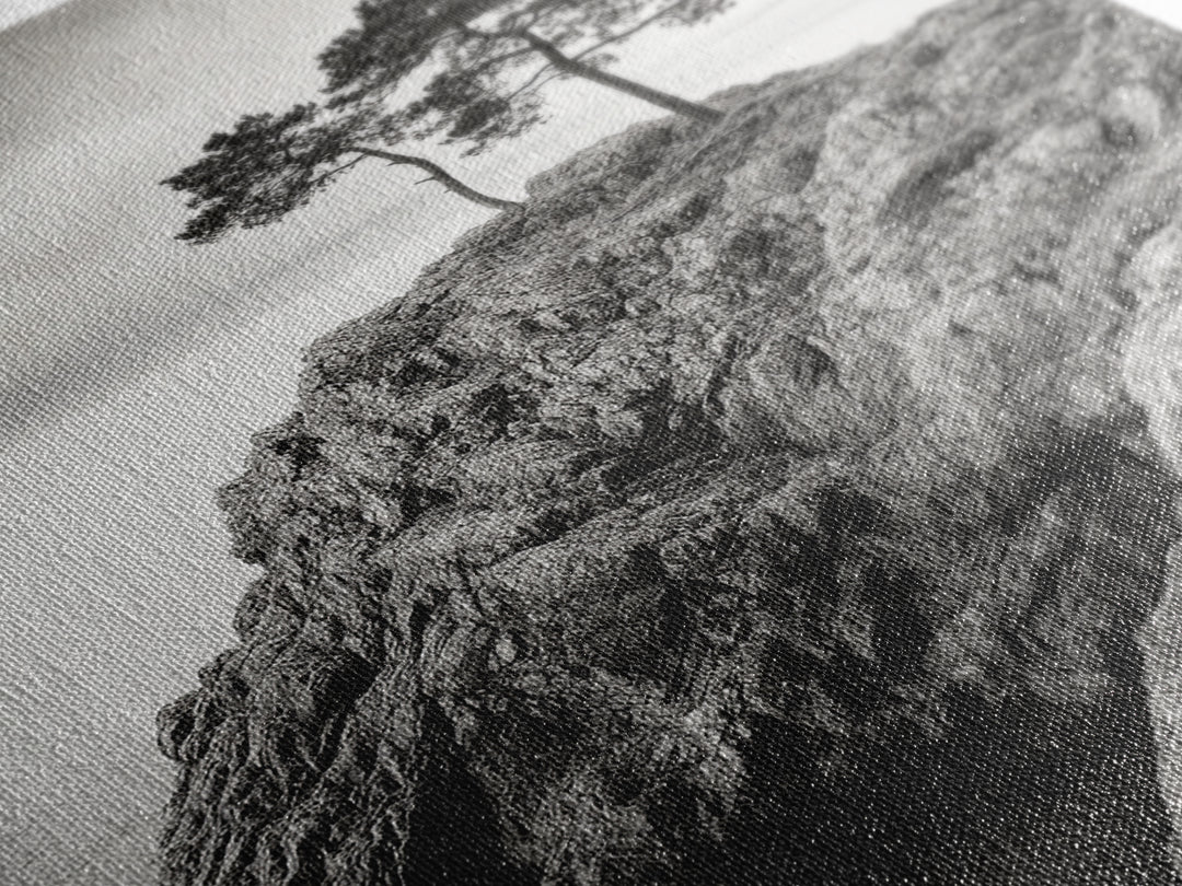 Rocky Coast, Lone Trees, Ocean View, Monochrome Calm, Framed Canvas Print, Bathroom Wall Art, Coastal Style, Minimalist Mountain Art