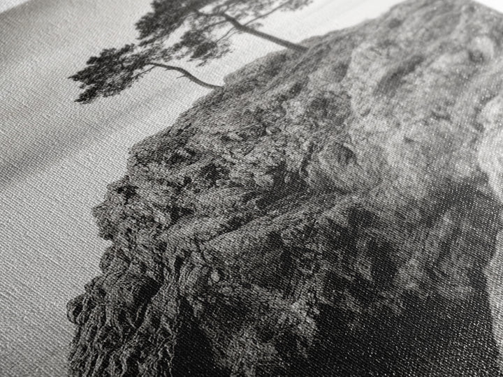 Rocky Coast, Lone Trees, Ocean View, Monochrome Calm, Framed Canvas Print, Bathroom Wall Art, Coastal Style, Minimalist Mountain Art