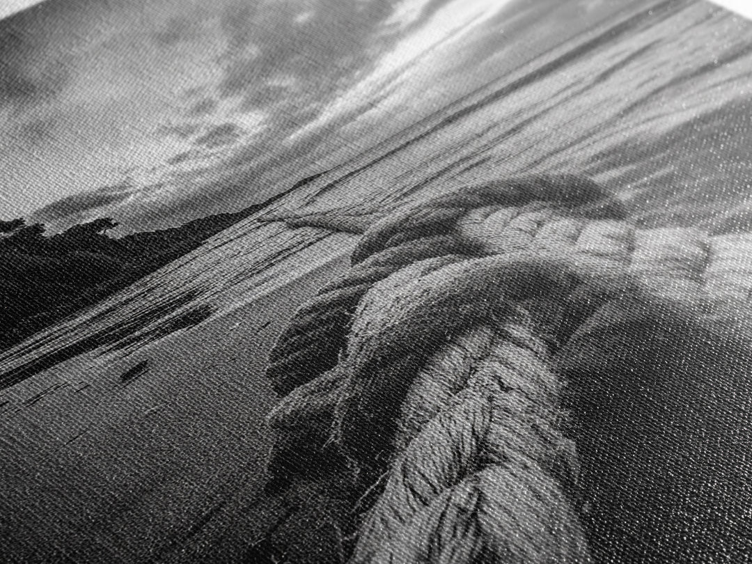 Beach Rope Knot, Coastal Connection, Ocean Shoreline, Nautical Canvas Print, Black and White Bathroom or Seaside Wall Decor