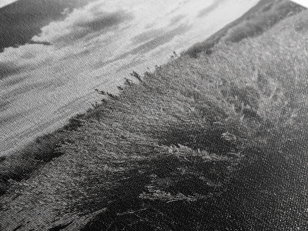 Desert Sage, Cloud Sky, Nature Wall Decor, Framed Canvas Print, Minimalist Art, Boho Style, Neutral Tones, Entryway Botanical Print