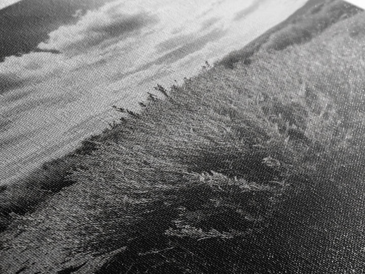 Desert Sage, Cloud Sky, Nature Wall Decor, Framed Canvas Print, Minimalist Art, Boho Style, Neutral Tones, Entryway Botanical Print