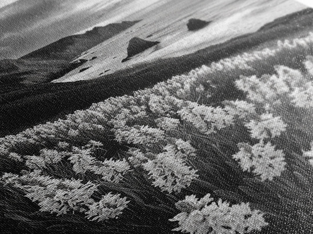 Coastal Blooms, Ocean Cliffs, Seaside Flowers, Canvas Print, Nature Photography, Living Room Art, Modern Coastal Wall Decor, Spring Vibes