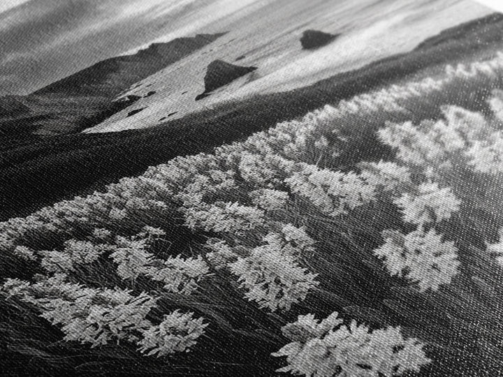 Coastal Blooms, Ocean Cliffs, Seaside Flowers, Canvas Print, Nature Photography, Living Room Art, Modern Coastal Wall Decor, Spring Vibes