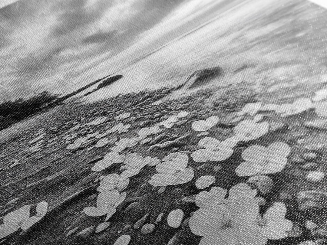 Flower Shore, Peaceful Beach, Moody Sky, Petal Scape, Framed Canvas Print, romantic beach art, bedroom decor, black and white floral print