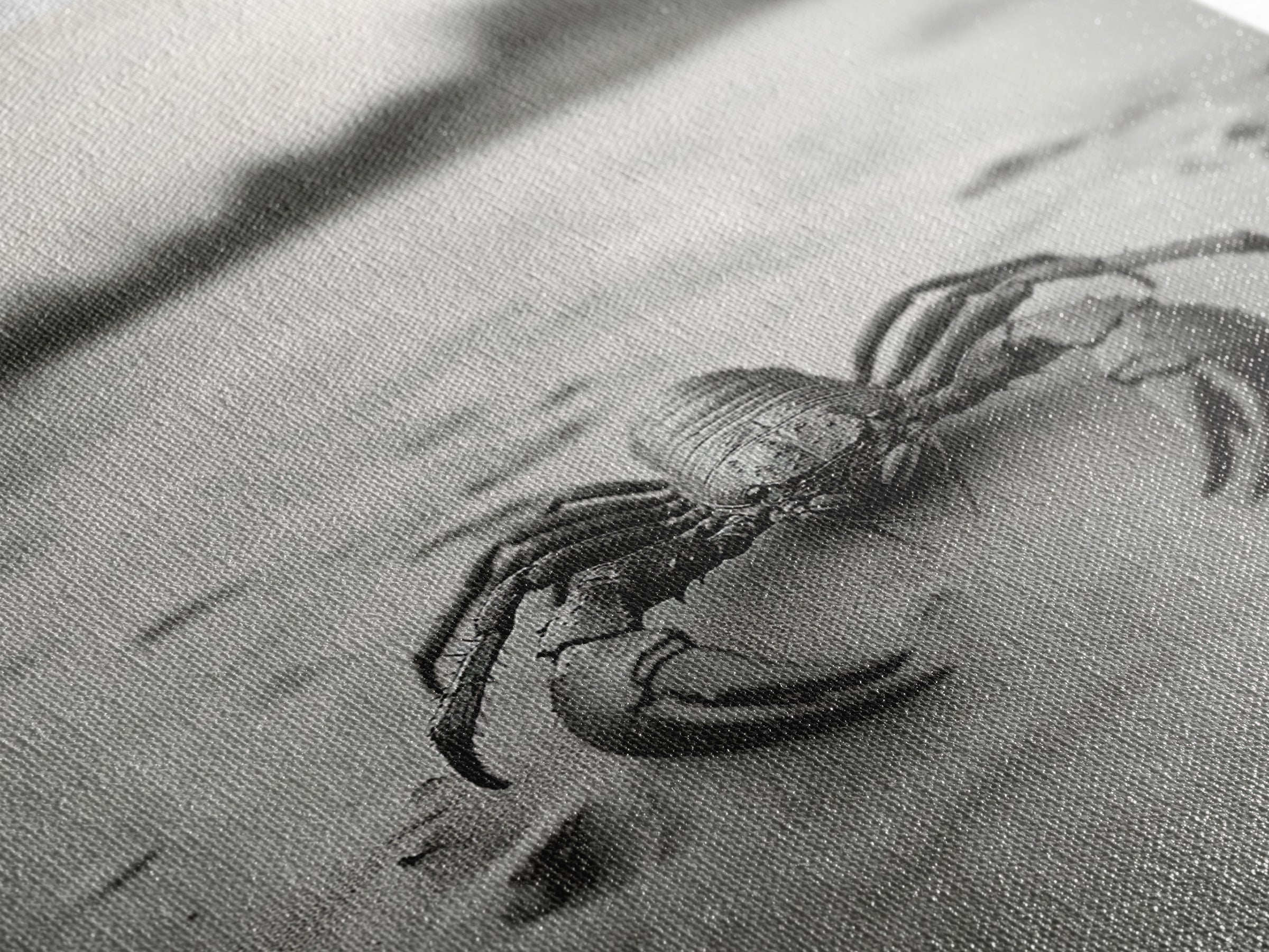 Desert Scorpion, Moody Wildlife, Sandy Ground, Focused Predator, Framed Canvas Print, edgy boho decor, masculine wall art, nature closeup