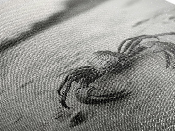 Desert Scorpion, Moody Wildlife, Sandy Ground, Focused Predator, Framed Canvas Print, edgy boho decor, masculine wall art, nature closeup