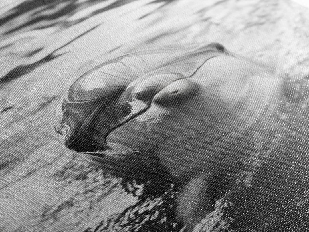 Dolphin Smile, Ocean Friend, Water Reflections, Gentle Waves, Framed Canvas Print, Kids Bathroom Art, Marine Life Decor, Playroom Artwork