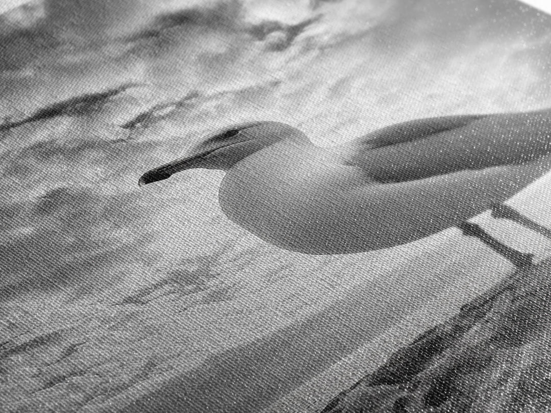 Coastal Seagull, Ocean Breeze, Serene Sky, Seaside Moment Framed Canvas Print, coastal decor, nautical bathroom wall art, nature photography