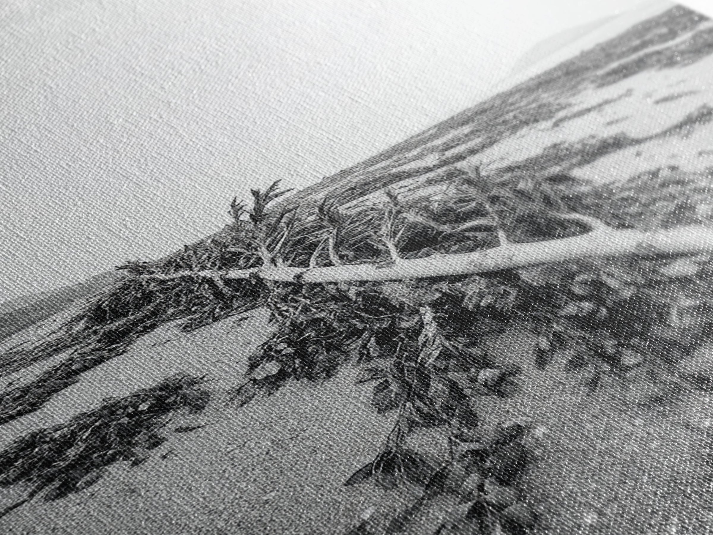 Seaweed Shoreline, Drifted Beauty, Coastal Debris, Tide Echo Framed Canvas Print, ocean nature wall art, minimalist beach decor