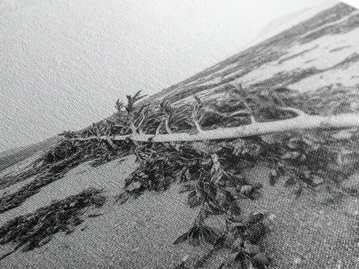 Seaweed Shoreline, Drifted Beauty, Coastal Debris, Tide Echo Framed Canvas Print, ocean nature wall art, minimalist beach decor