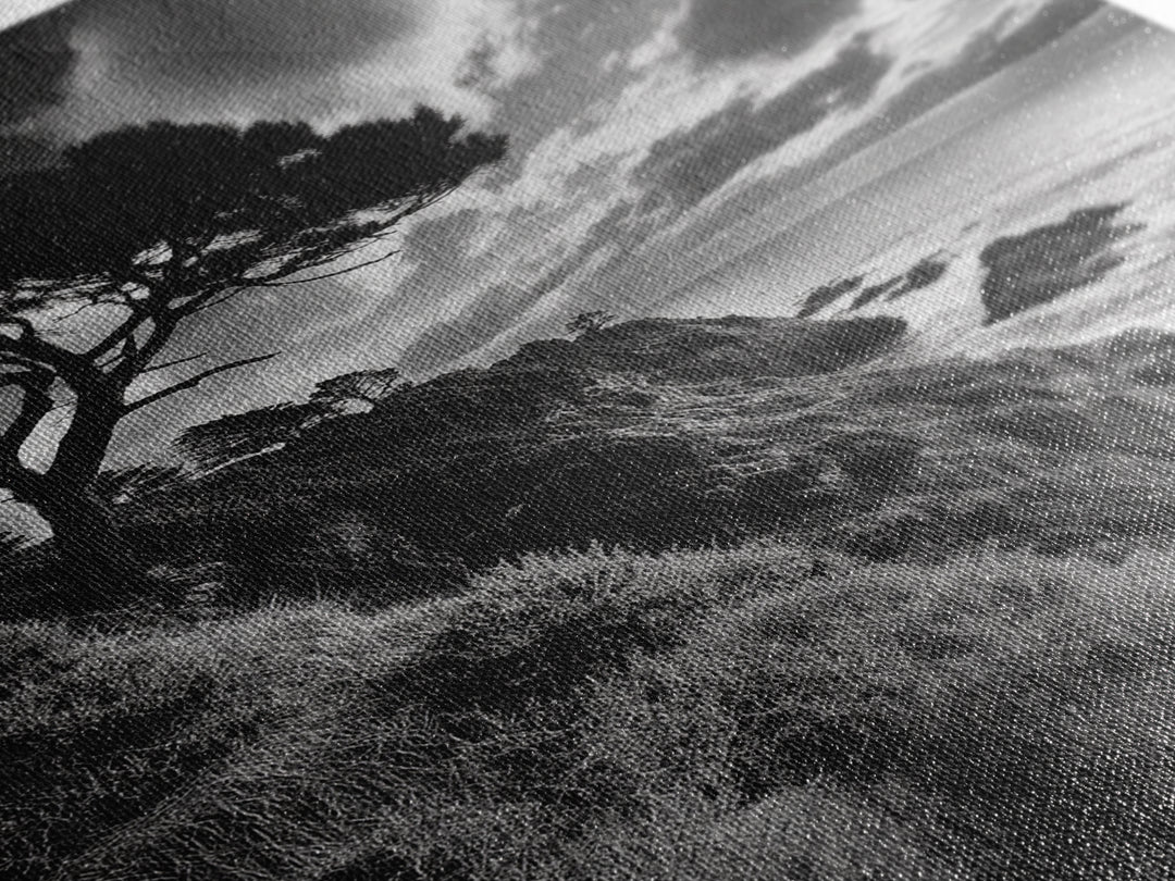 Coastal Pines, Rocky Shore, Windswept Tree, Wild Ocean Framed Canvas Print, rustic cabin art, black and white beach wall decor