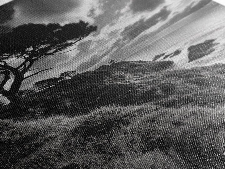 Coastal Pines, Rocky Shore, Windswept Tree, Wild Ocean Framed Canvas Print, rustic cabin art, black and white beach wall decor