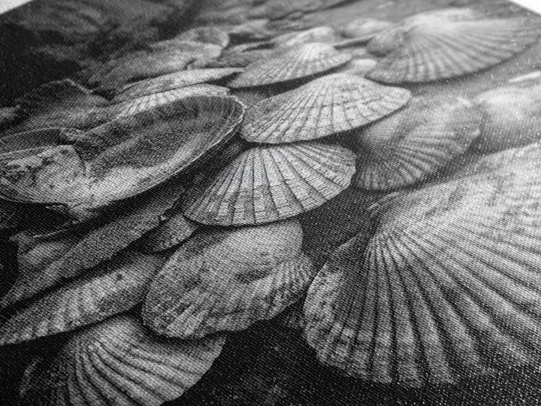 Seashell Pile, Textured Beach, Coastal Treasures, Natural Beauty Framed Canvas Print, bathroom decor, shell art, beach wall style