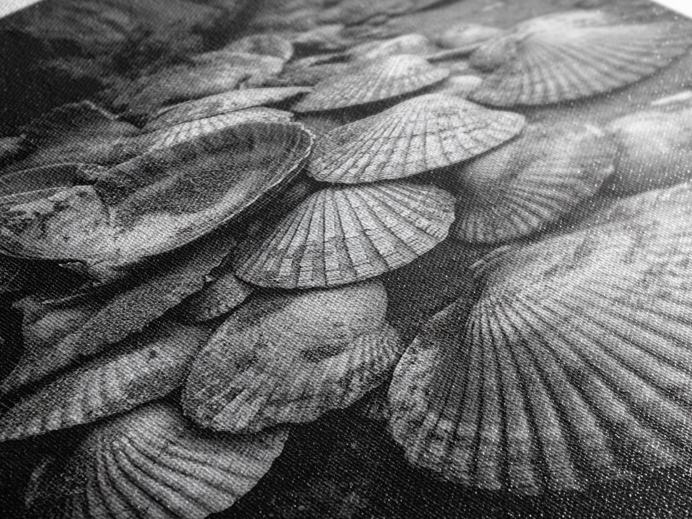 Seashell Pile, Textured Beach, Coastal Treasures, Natural Beauty Framed Canvas Print, bathroom decor, shell art, beach wall style