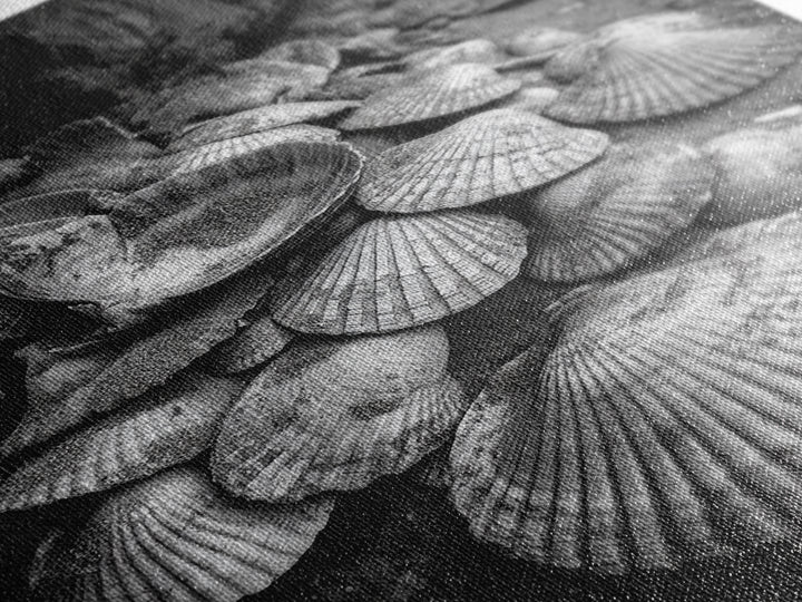 Seashell Pile, Textured Beach, Coastal Treasures, Natural Beauty Framed Canvas Print, bathroom decor, shell art, beach wall style