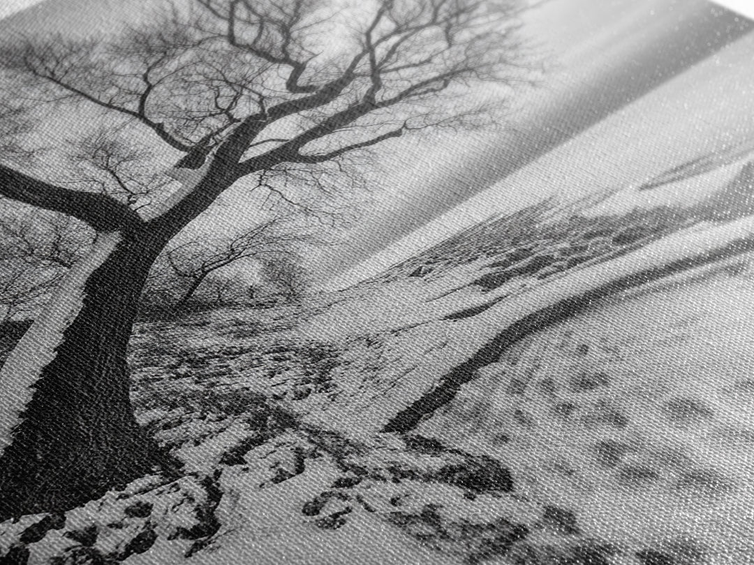 Coastal Snow, Barren Tree, Frozen Shoreline, Canvas Print, Serene Winter Decor, Entryway or Hallway Minimalist Wall Art